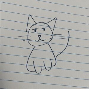handsome cat drawing